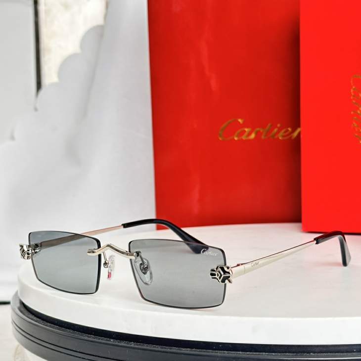 Picture of Cartier Sunglasses _SKUfw77709793fw